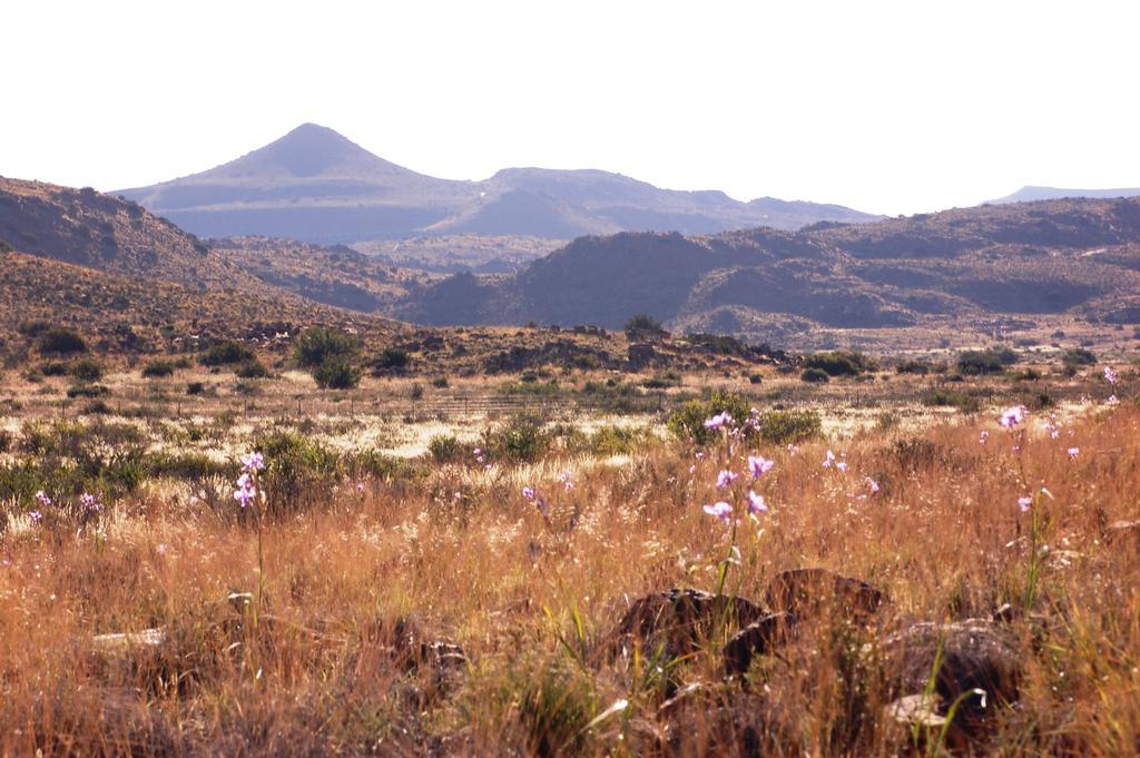 The Vale Karoo Farm Villa Nelspoort Eksteriør billede